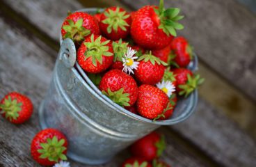 Are You Fishing With Strawberries?